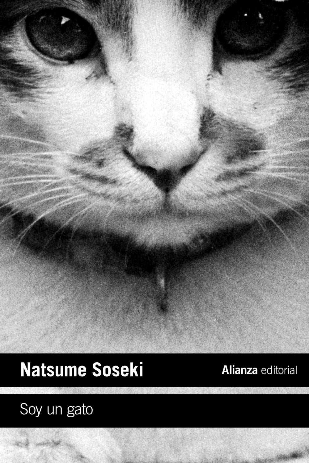 Libro: Soy Un Gato, por Natsume Sōseki