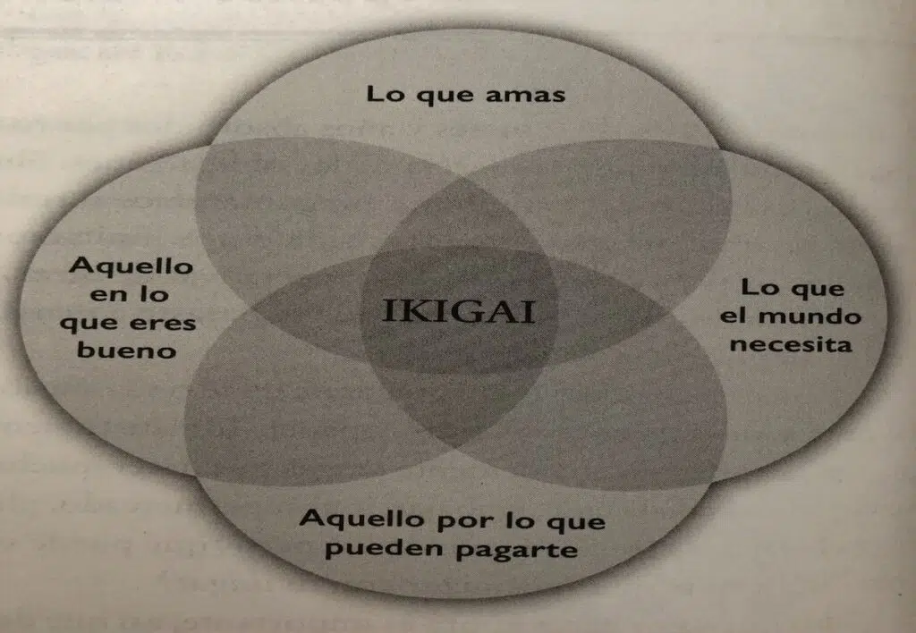 Libro-El-metodo-Ikigai-por-Francesc-Miralles-y-Hector-Garcia