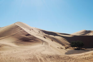 gran tiro dunas arena desierto dia soleado