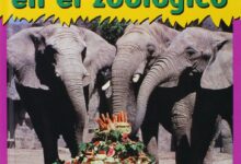 Libro: Partes Iguales En El Zoológico: Lee y aprende por Patricia Whitehouse