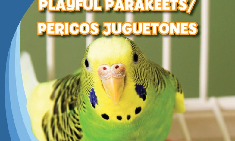 Libro: Playful Parakeets / Pericos juguetones por Katie Kawa