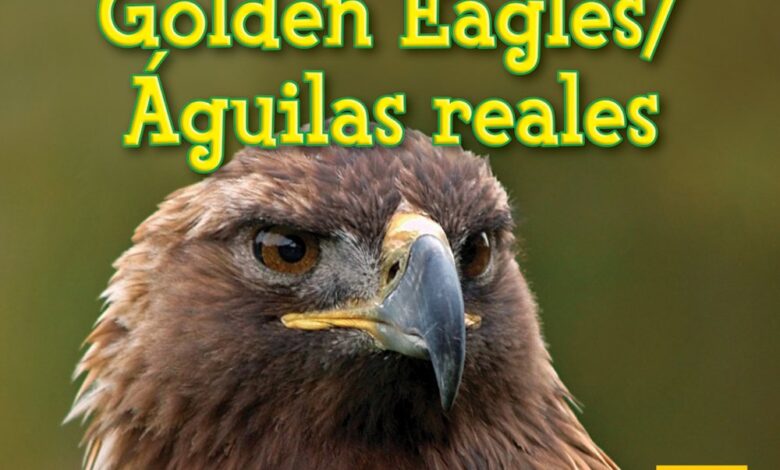 Libro: Águilas reales: Animales de las montañas por Joann Early Macken