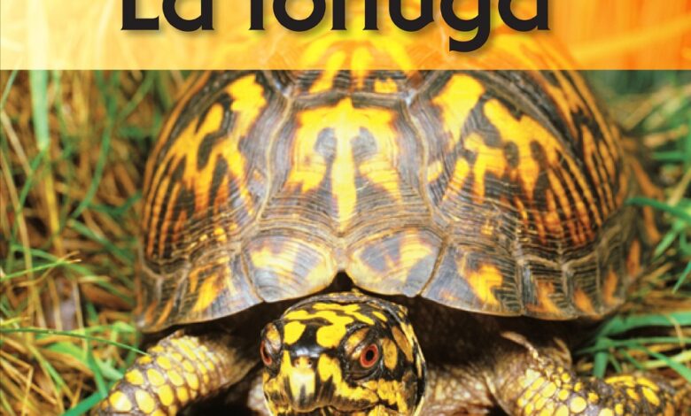 Libro: La Tortuga, el ciclo de vida por Ron Fridell