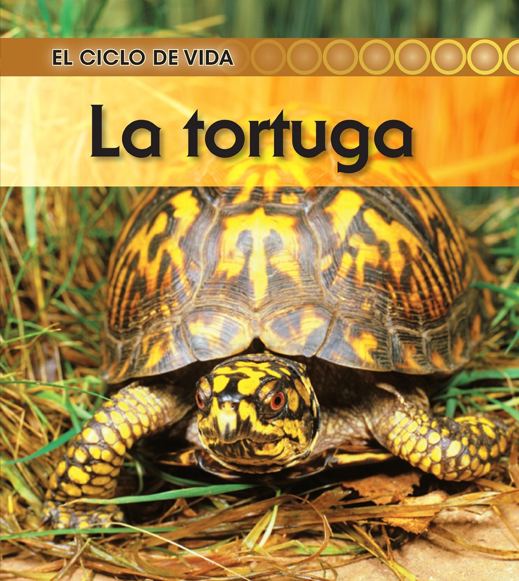 Libro: La Tortuga, el ciclo de vida por Ron Fridell