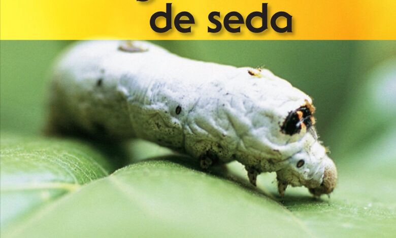 Libro: El Gusano de Seda, El Ciclo de vida por Ron Fridell