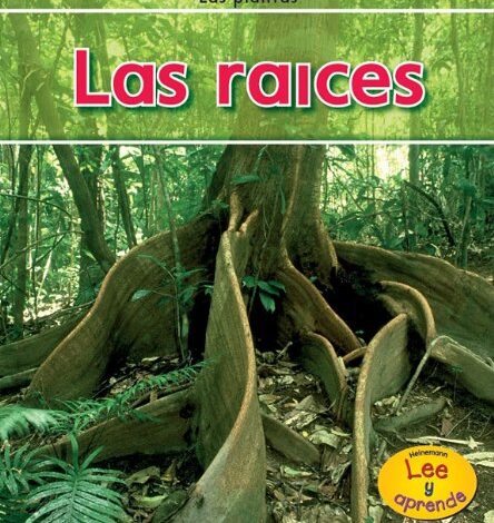 Libro: Las plantas: Las raíces, lee y aprende por Patricia Whitehouse