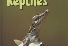 Libro: Reptiles: Crías por Rod Theodorou