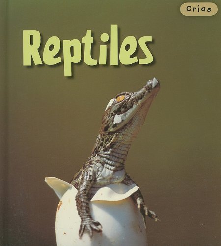 Libro: Reptiles: Crías por Rod Theodorou