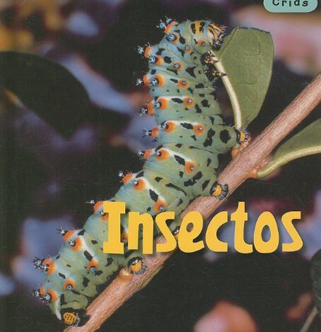 Libro: Insectos: Crías por Rod Theodorou