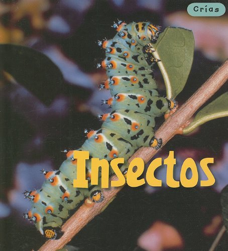 Libro: Insectos: Crías por Rod Theodorou