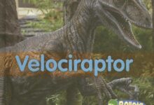 Libro: Velociraptor (Dinosaurios) por Daniel Nunn