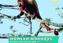Libro: Monos aulladores y otros monos de Latinoamérica por Zella Williams