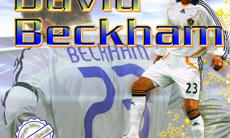 Libro: David Beckham: Estrellas del fútbol mundial por José María Obregón