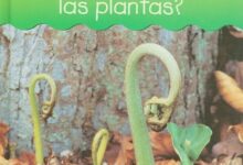 Libro: ¿Cómo Crecen Las Plantas? El mundo de las plantas por Richard Spilsbury