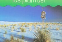 Libro: ¿Dónde Crecen Las Plantas? El mundo de las plantas por Richard Spilsbury