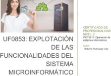 Libro: UF0853: Explotación de las funcionalidades del sistema microinformático: MF0219_2: Instalación y configuración de sistemas operativos (IFCT0210 Operaciones de Sistemas Informáticos) por Roberto Rodríguez Inés