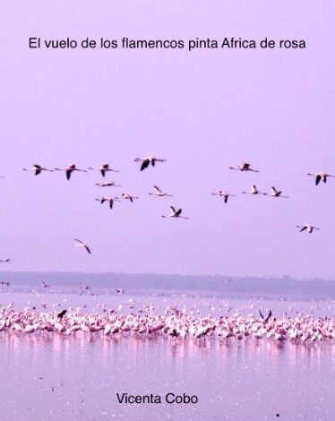 El vuelo de los flamencos pinta África de rosa