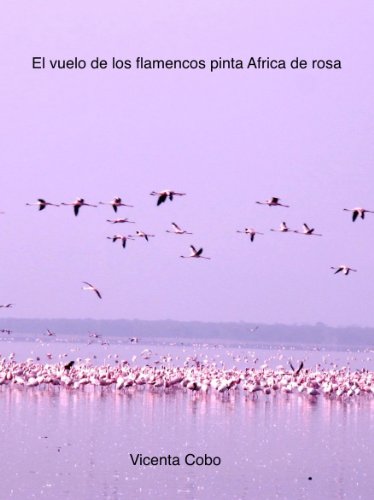 El vuelo de los flamencos pinta África de rosa