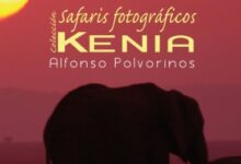 Safaris fotográficos Kenia