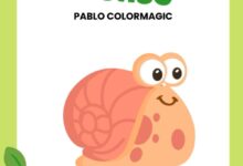 Libro: Colorea Bichos y recórtalos también por Pablo Colormagic