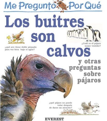 Libro: Me Pregunto Por Qué los Buitres Son Calvos y Otras Preguntas Sobre Pájaros por Amanda O'Neill