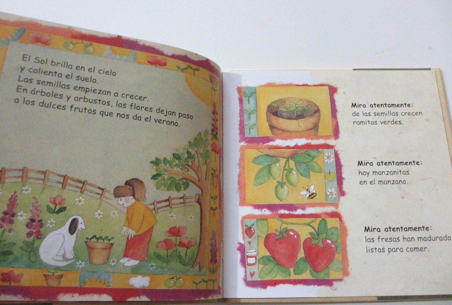 Libro: Todos Los Días: Oraciones infantiles para cualquier época del año por Lois Rock