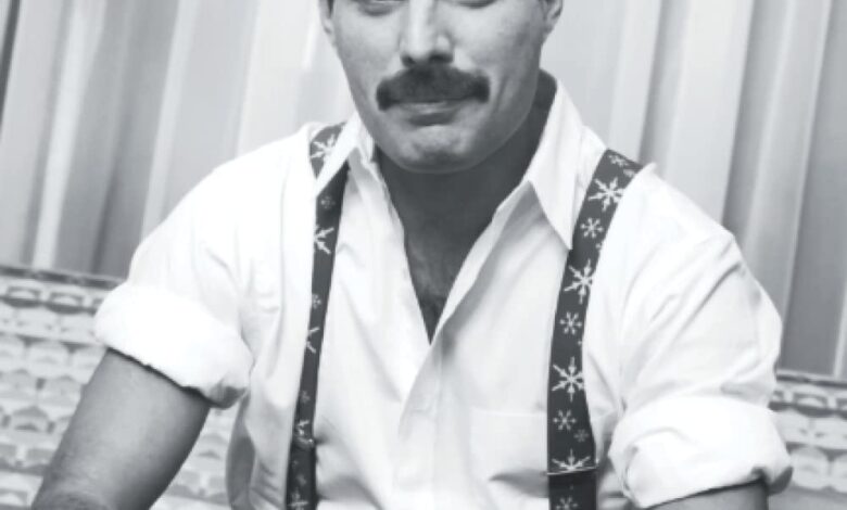 Libro: Freddie Mercury: Su Vida, Contada Por Él Mismo por Greg Brooks