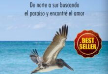 Libro: Galápagos con Amor: De norte a sur buscando el paraíso y encontré el amor por Ada Escalante Steffensen