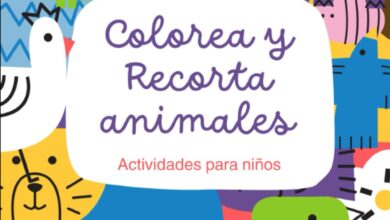 Libro: Colorea y Recorta animales - Actividades para niños por Pablo Colormagic