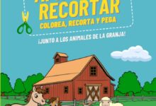Libro: Aprende a recortar ¡Colorea, corta y pega animales de la granja! Por Dream World