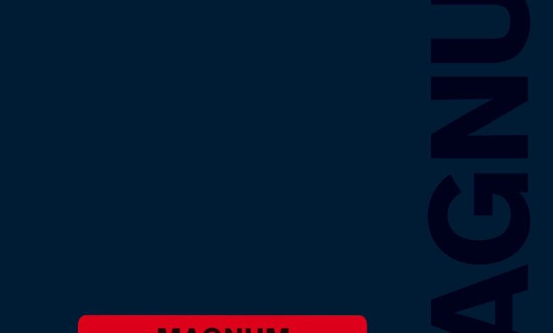 Libro :“Magnum” por Kristen Lubben