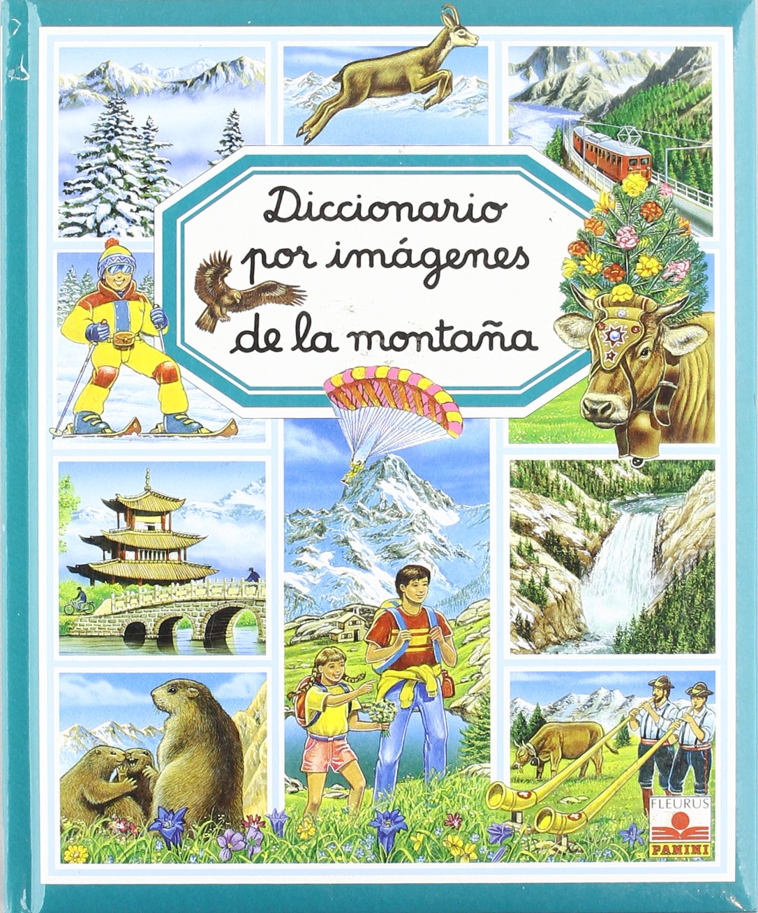 Libro: Diccionario por imágenes de la montaña por emilie-beaumont