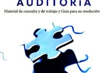 Libro: Práctica Elemental de Auditoría por Víctor Manuel Mendívil