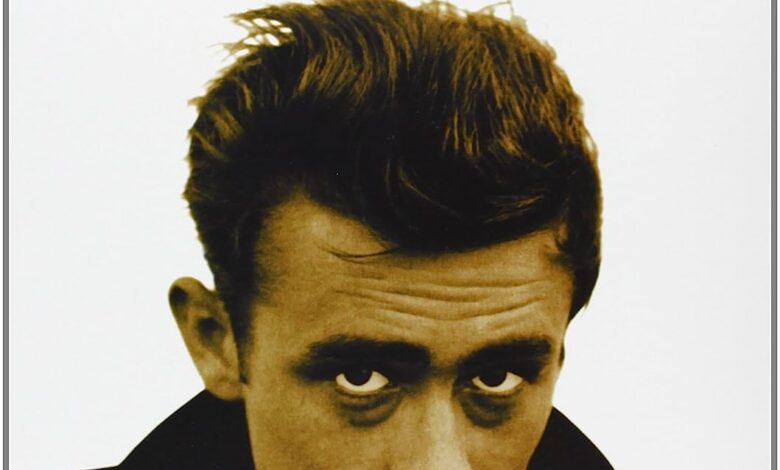 Libro: James Dean. El ángel oscuro por Miguel Ángel Prieto