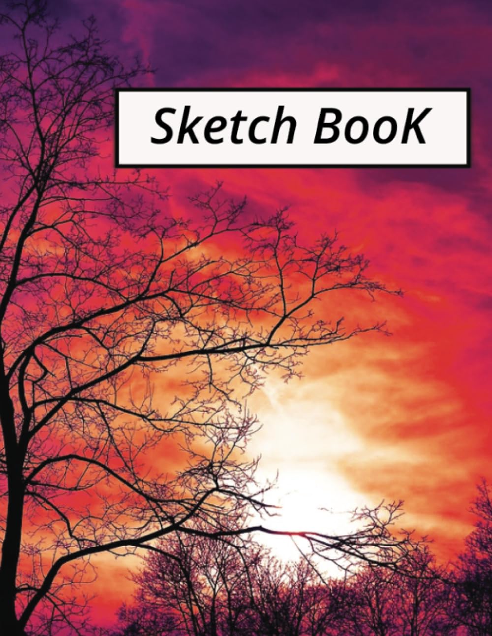 Cuaderno: Sketch Book: Notebook for Drawing, Writing, Painting, Sketching or Doodling, por Amazon