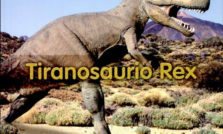 Libro: Tiranosaurio Rex (Dinosaurios) por Daniel Nunn