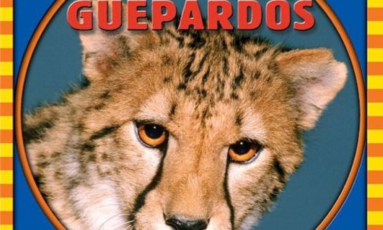 Libro: Cheetahs/ Guepardos: Animales que veo en el zoológico por Kathleen Pohl