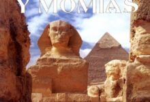 Libro: Pirámides Y Momias por Seymour Simon