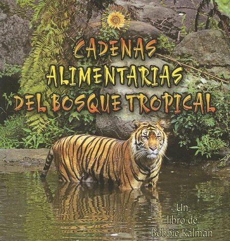 Libro: Cadenas Alimentarias Del Bosque Tropical por Molly Aloian