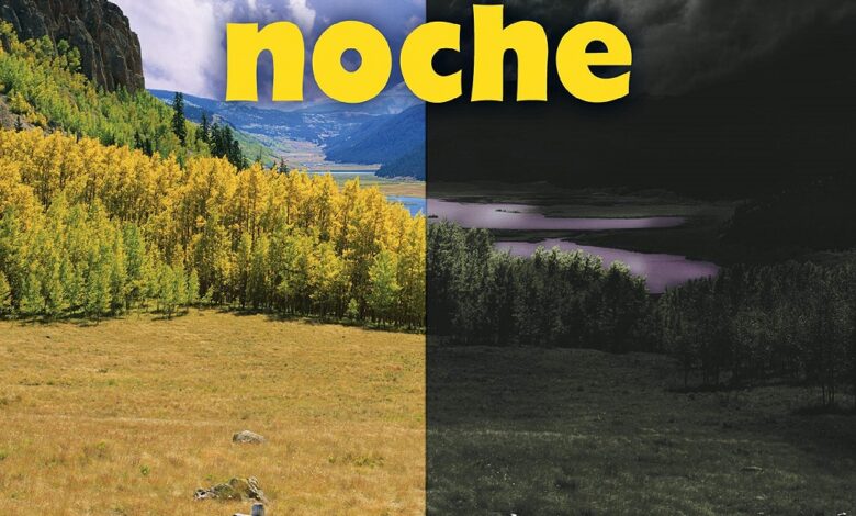 Libro: Día Y Noche por Robin Nelson