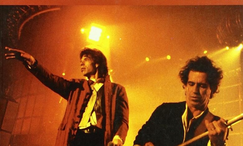 Libro: Rolling Stones: Los Viejos Dioses Nunca Mueren por Stephen Davis