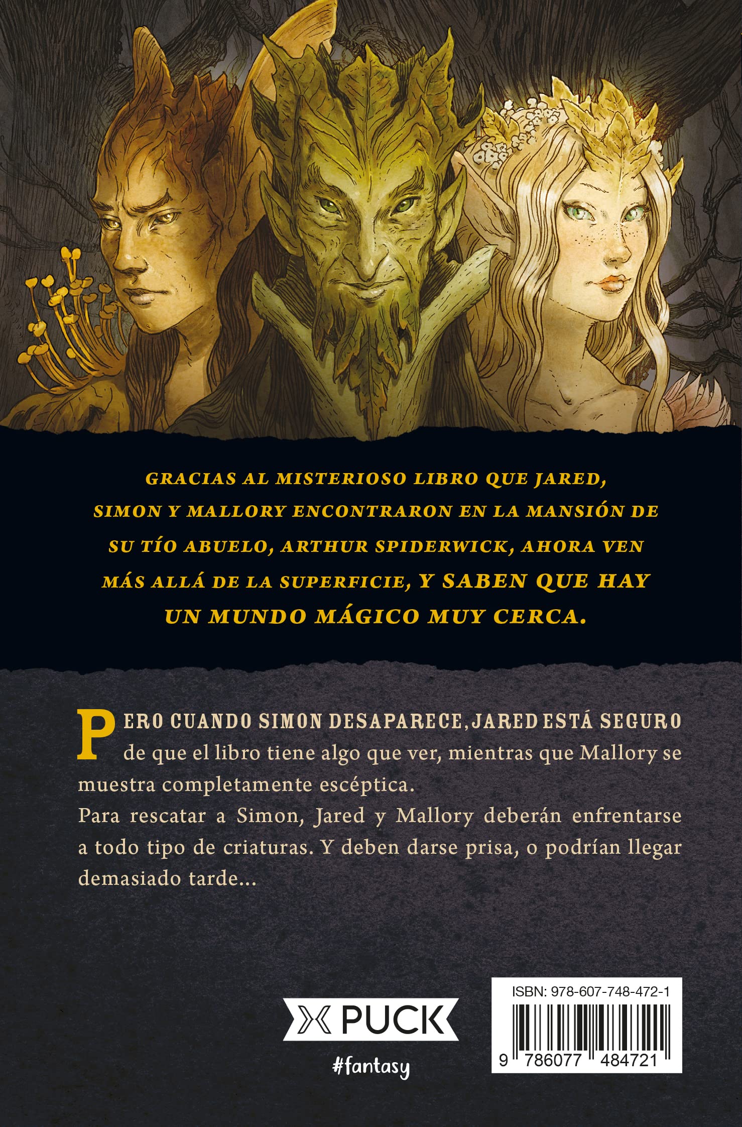 Libro: Crónicas de Spiderwick vol.2, La Piedra Clarividente por Holly Black y Tony Diterlizzi