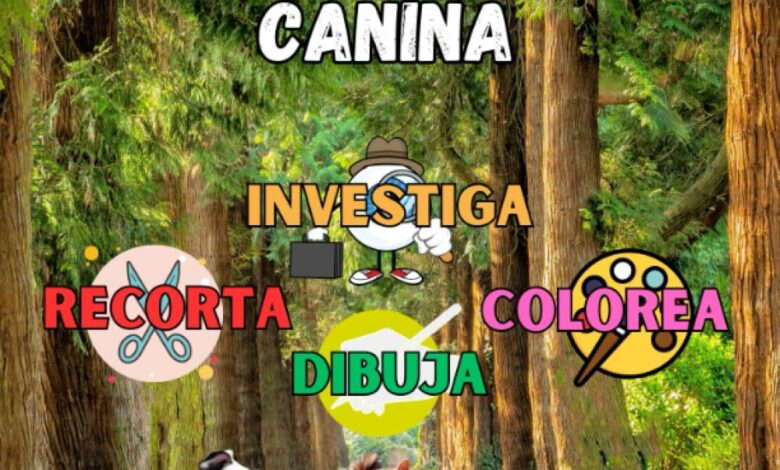 Libro: Crea tu propia enciclopedia canina para niños, niñas y jóvenes por Alejandro Rivillos