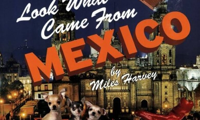 Libro: Look What Came from Mexico por Miles Harvey