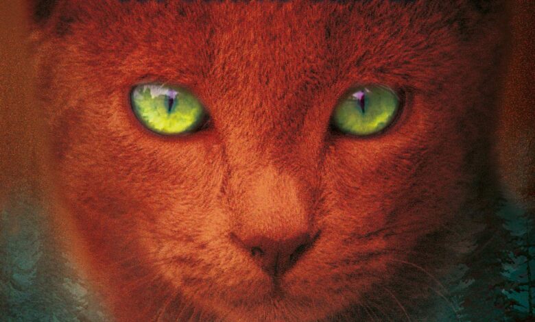 Libro: En Territorio Salvaje - Libro 1 de 6: Los Gatos Guerreros | Los Cuatro Clanes por Erin Hunter