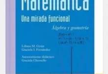 Libro: Matemática - Una Mirada Funcional - Álgebra y Geometría / Polimodal por Graciela Fernández