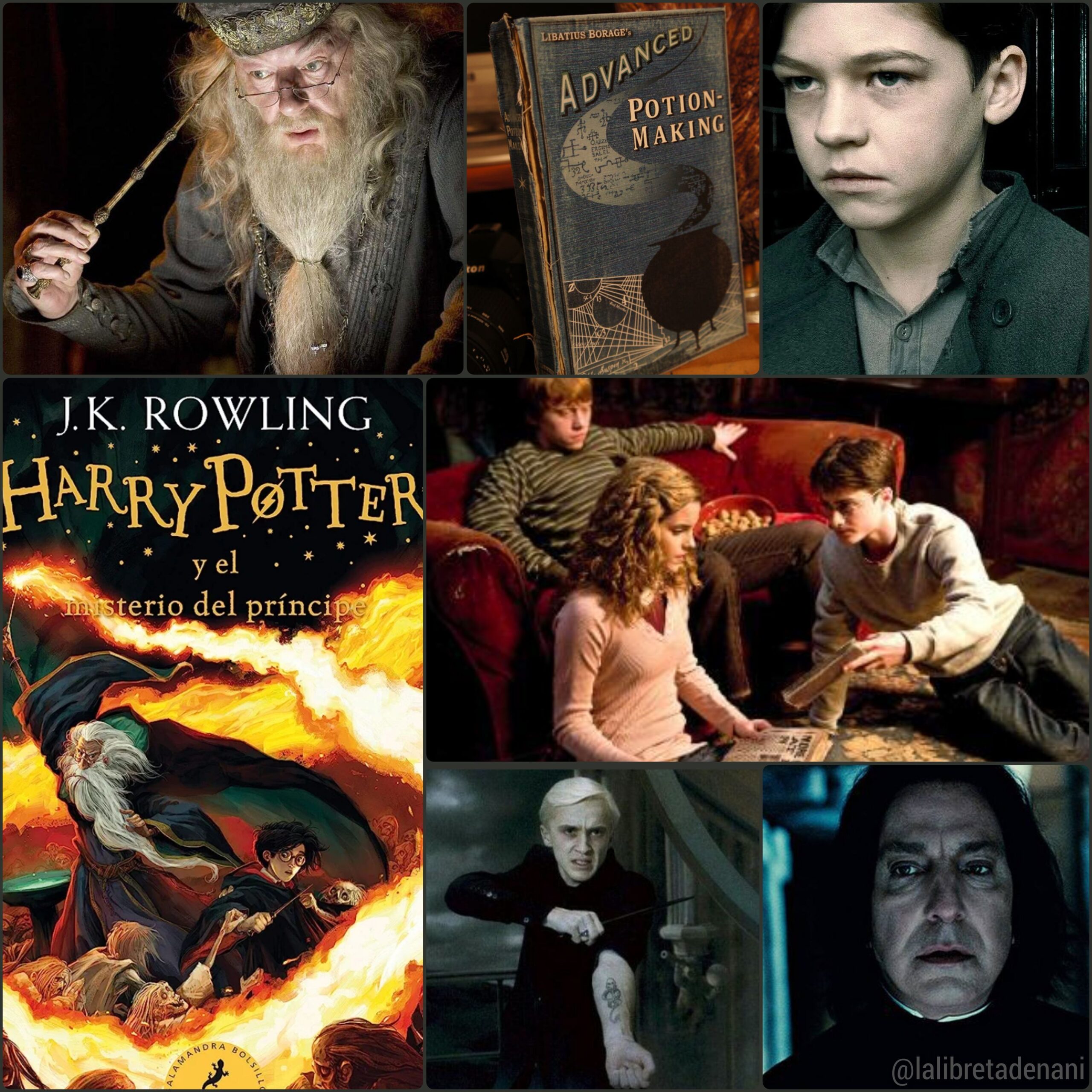 Libro: Harry Potter y El Misterio del Príncipe por J. K. Rowling