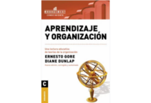 Libro APRENDIZAJE Y ORGANIZACION UNA LECTURA EDUCATIVA DE TEORIAS DE LA ORGANIZACION por Ernesto Gore