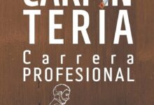 Libro Estudiar Carpintería como Carrera Profesional de Danys Galicia