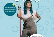 Libro La magia de Cris - Tips de limpieza para mantener tu casa reluciente (Spanish Edition) por Cristina lafregonadecris